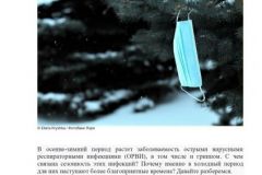 ПРИМЕР-С-ЭМБЛЕМОЙ-САНЩИТА-4_page-0001