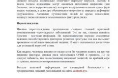 ПРИМЕР-С-ЭМБЛЕМОЙ-САНЩИТА-4_page-0002